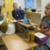minizoo