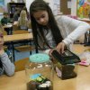 minizoo